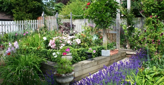 Summer full flower
